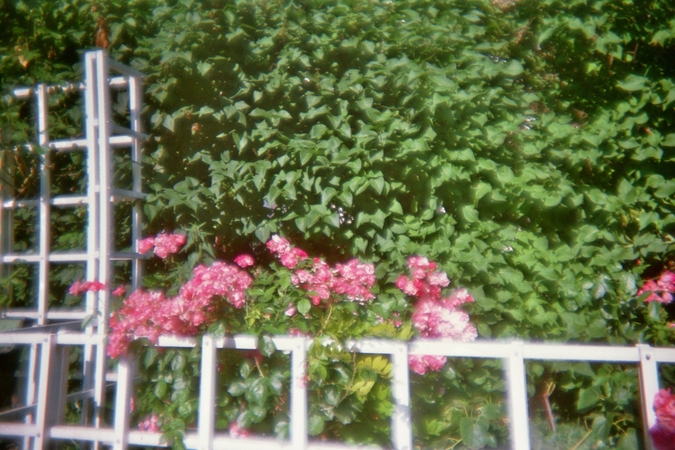 med_U10570I1499709831.SEQ.1.jpg