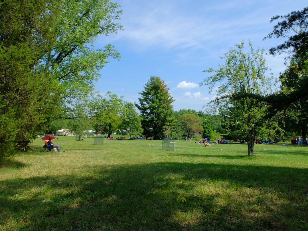 U11787I1503364180.SEQ.0.jpg