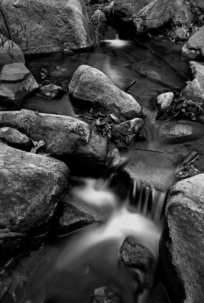 U13672I1250302737.SEQ.0.jpg