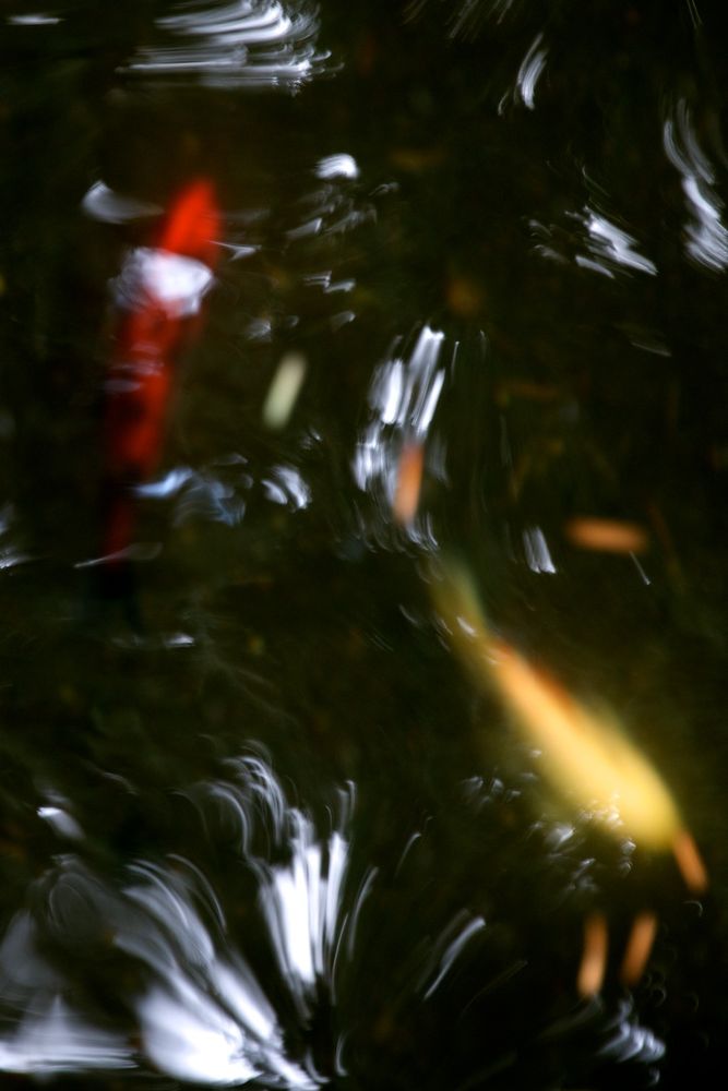 U14844I1356912484.SEQ.0.jpg