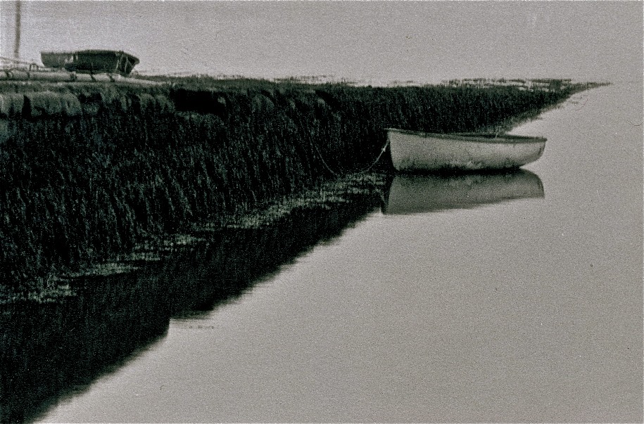 U19465I1387977761.SEQ.0.jpg