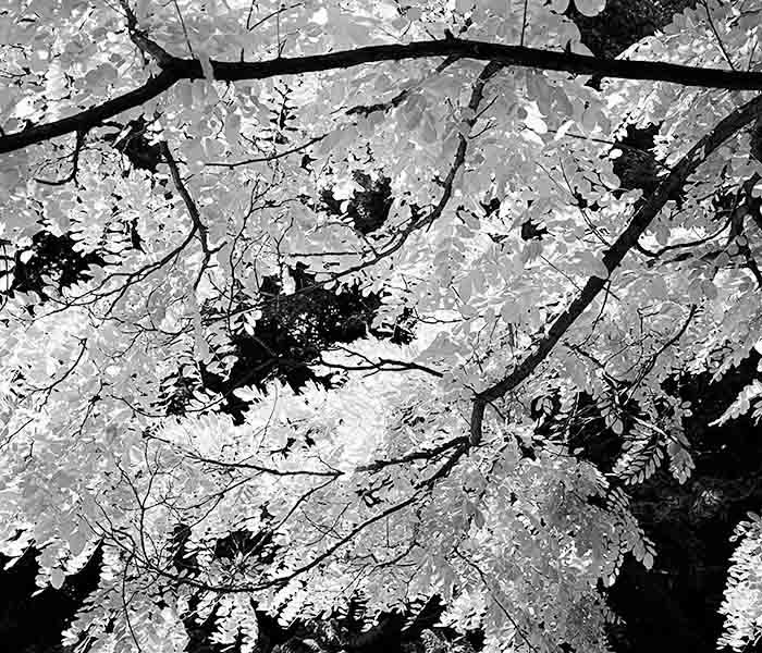 U20028I1336901253.SEQ.0.jpg