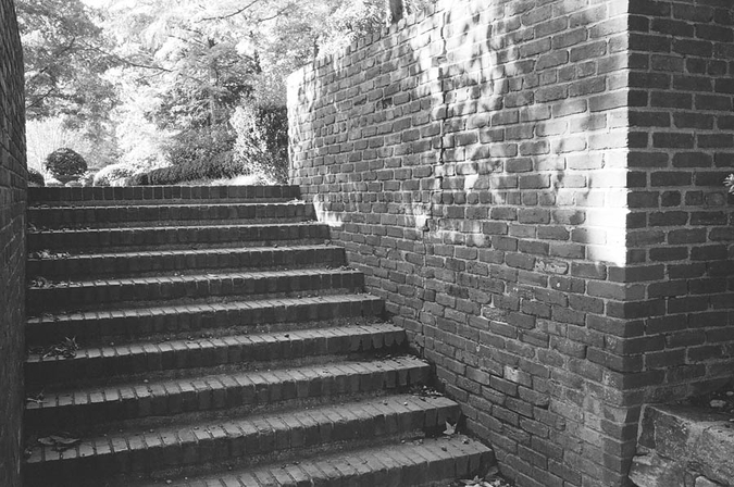 med_U20714I1268228808.SEQ.0.jpg