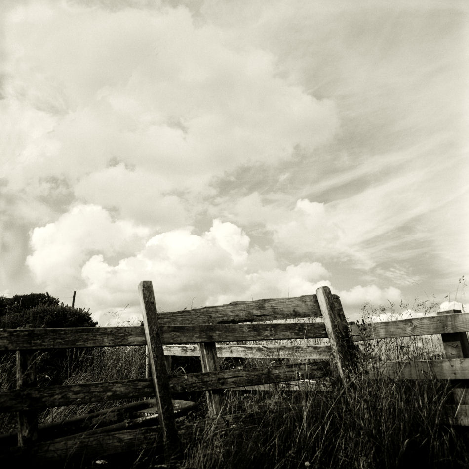 U22908I1281118856.SEQ.0.jpg