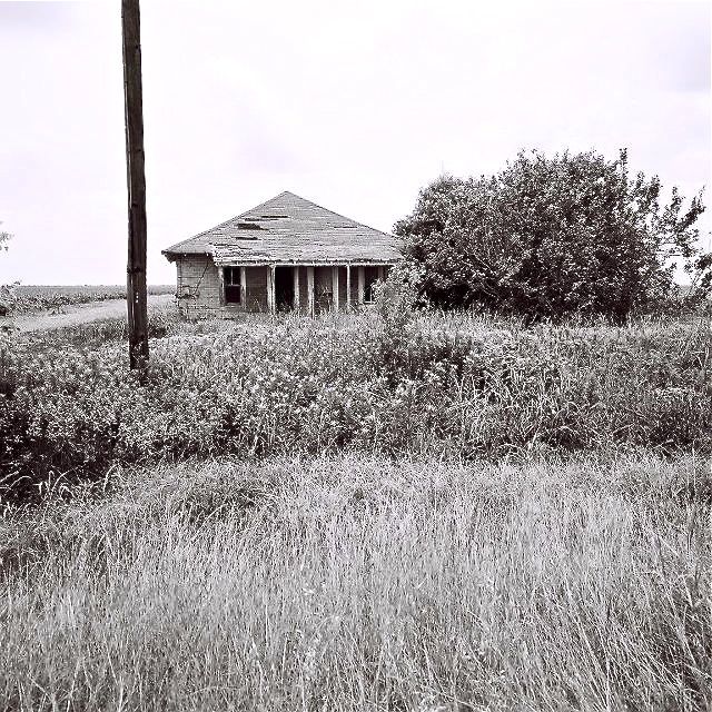 U2358I1298260984.SEQ.0.jpg