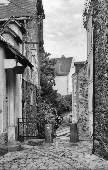 med_U26539I1488300027.SEQ.1.jpg