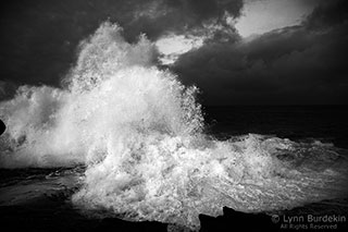 U27021I1302959155.SEQ.0.jpg