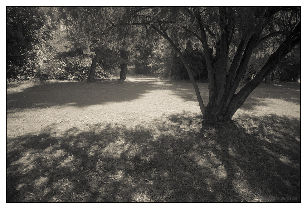 U27021I1431426492.SEQ.1.jpg