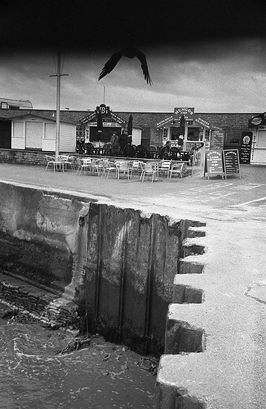 U2857I1276007814.SEQ.0.jpg