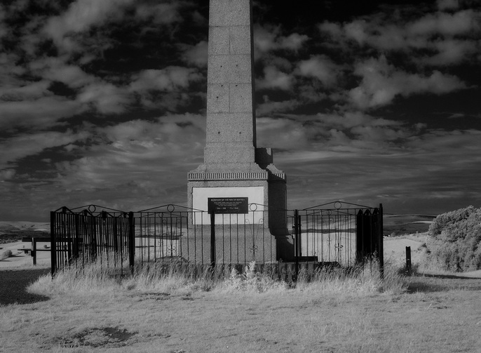 U2857I1309291975.SEQ.0.jpg