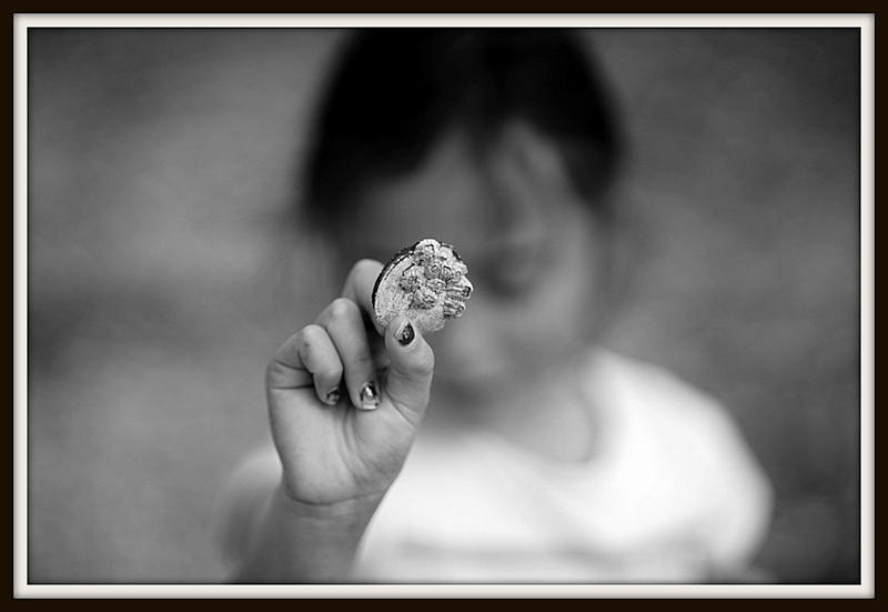 U28767I1458443509.SEQ.1.jpg