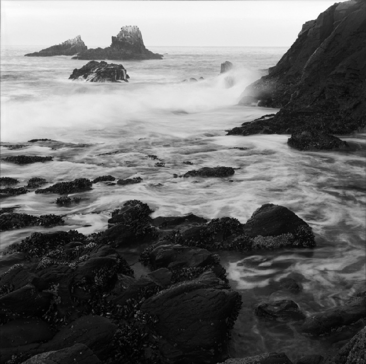 U29436I1250010388.SEQ.0.jpg