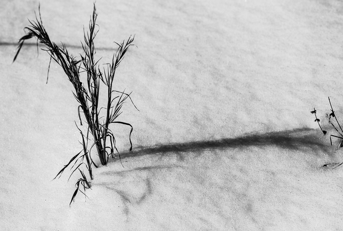 med_U31747I1392555849.SEQ.0.jpg