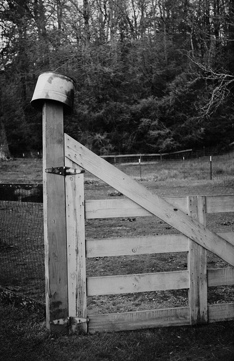 U34170I1336567083.SEQ.0.jpg