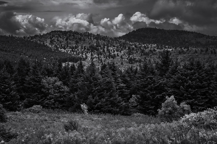 U34170I1436540483.SEQ.0.jpg