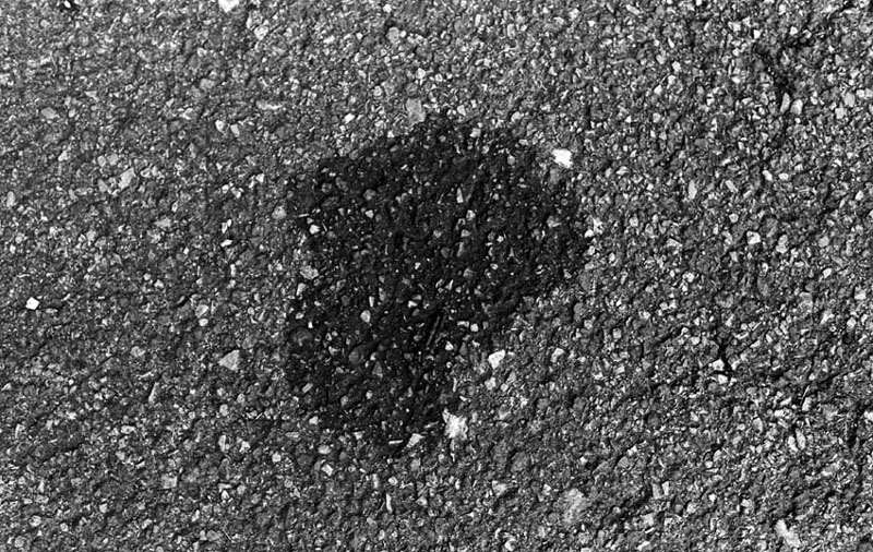 U35015I1345556285.SEQ.0.jpg