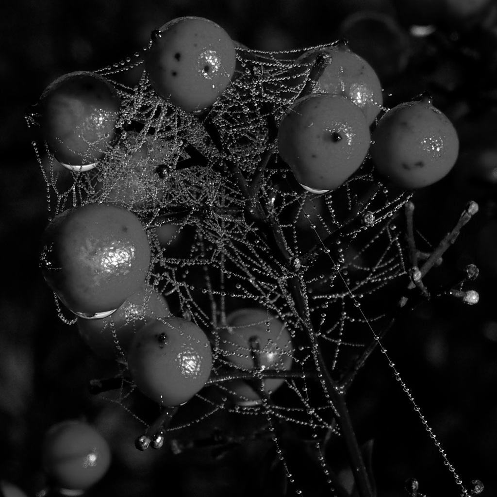 U35015I1449931242.SEQ.0.jpg