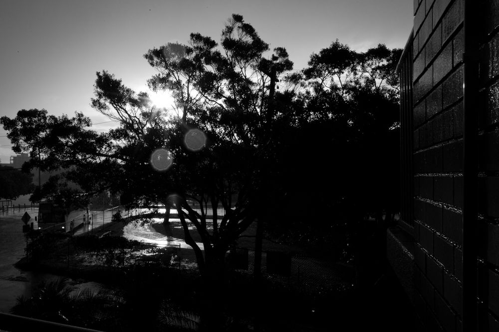 U35060I1294743098.SEQ.0.jpg