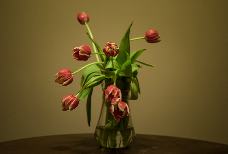U35930I1431724612.SEQ.0.jpg
