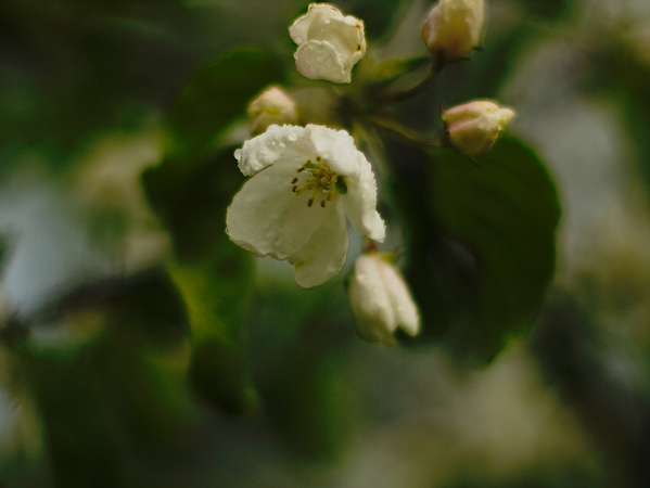 U36590I1274733586.SEQ.0.jpg