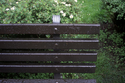 U3692I1150398535.SEQ.0.jpg