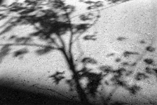 U3692I1260290856.SEQ.0.jpg