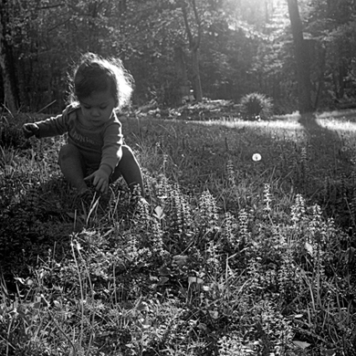 U37402I1336609601.SEQ.0.jpg