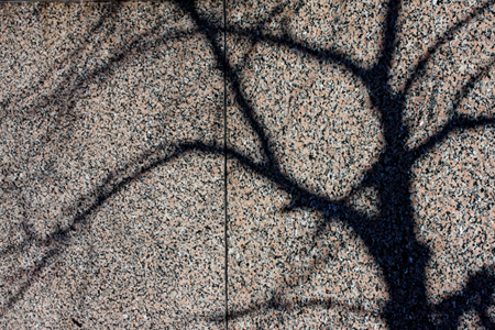 U37402I1374359652.SEQ.0.jpg