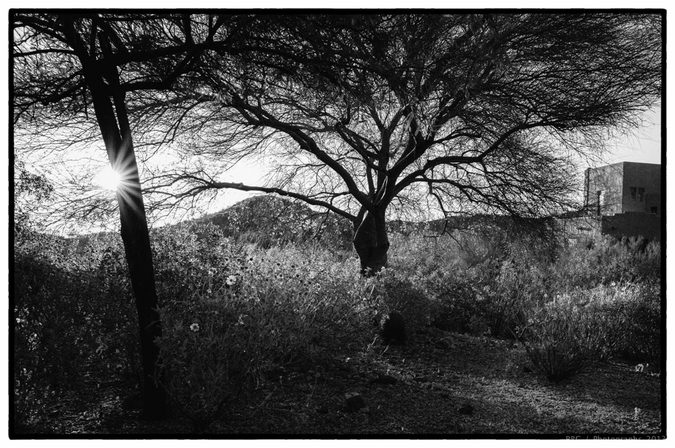 med_U38380I1365742989.SEQ.0.jpg