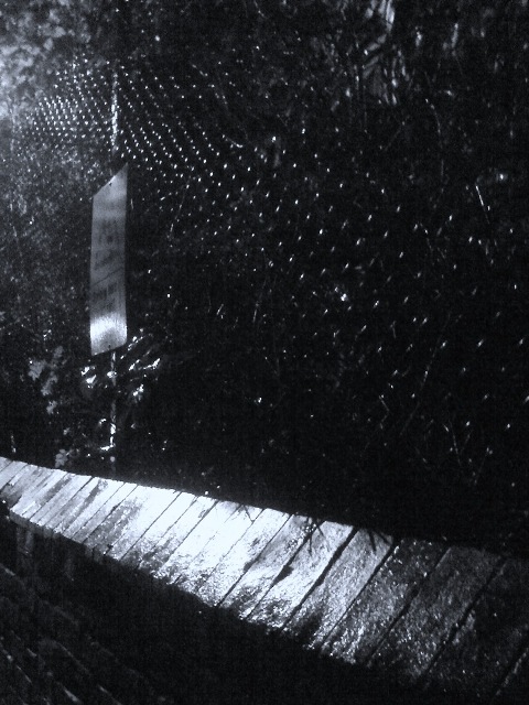 U43415I1336652804.SEQ.0.jpg