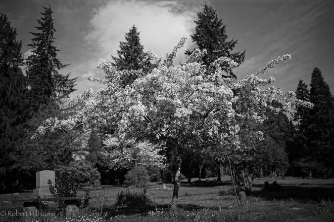med_U45148I1427835786.SEQ.2.jpg