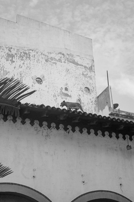 med_U45148I1508855566.SEQ.0.jpg