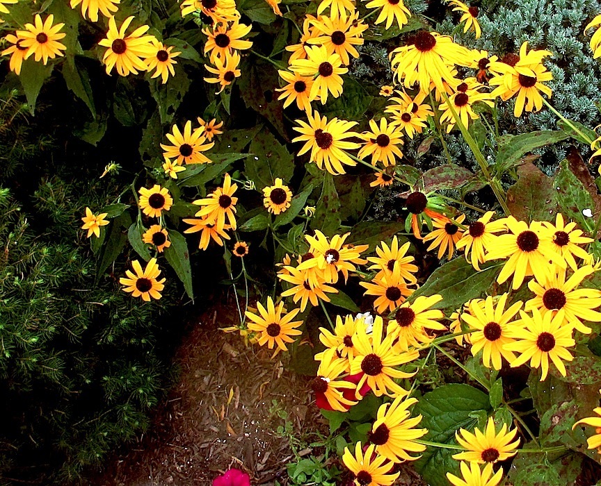 U48186I1377483233.SEQ.0.jpg