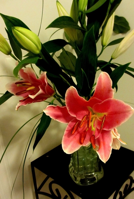 med_U48186I1431564147.SEQ.0.jpg
