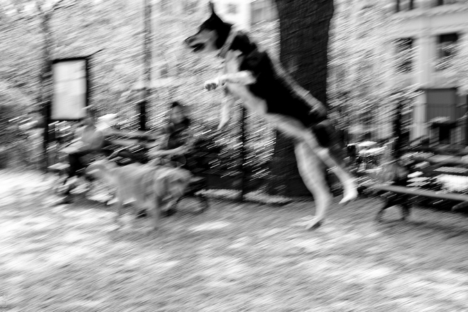 med_U53150I1431910478.SEQ.1.jpg