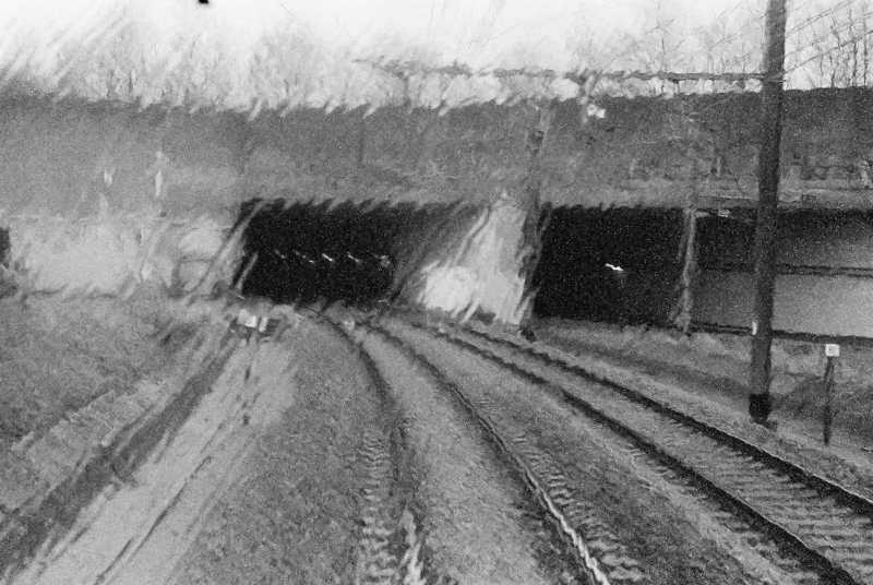 U54266I1362965566.SEQ.2.jpg