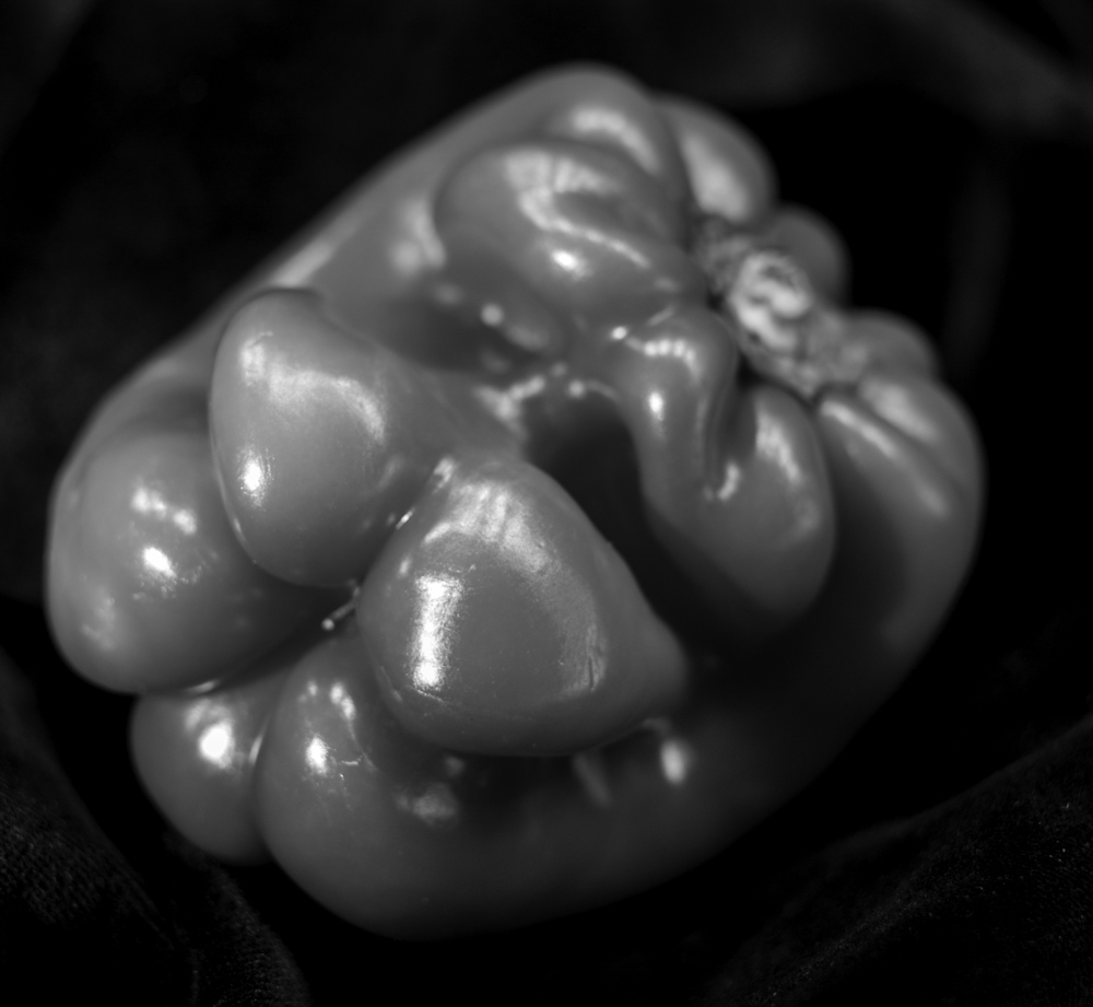 U6650I1354764502.SEQ.0.jpg