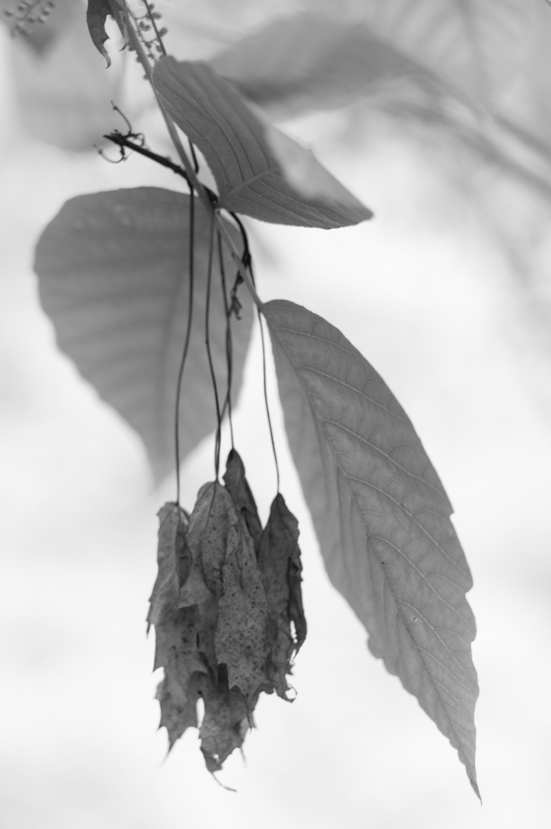 U6650I1496599124.SEQ.3.jpg