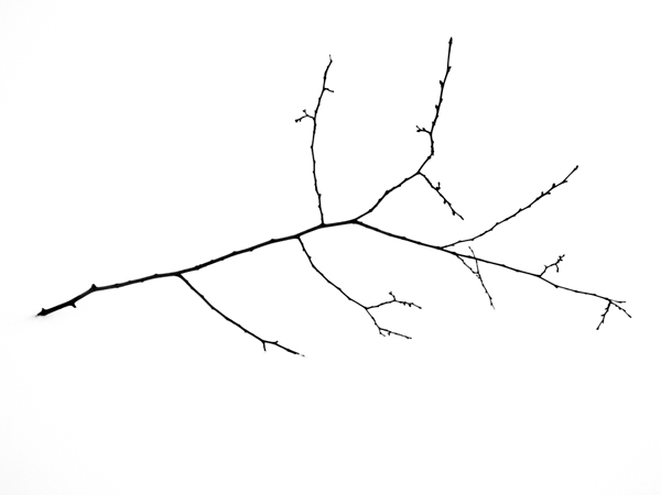 U6728I1292777544.SEQ.0.jpg