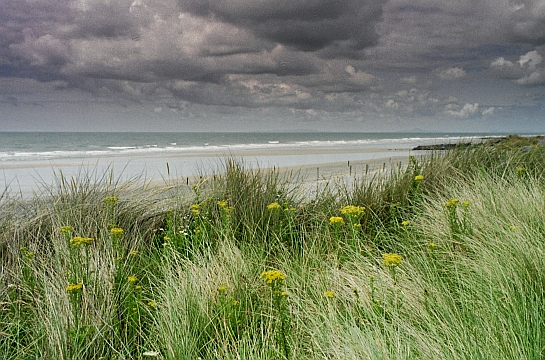 U6849I1328735594.SEQ.0.jpg