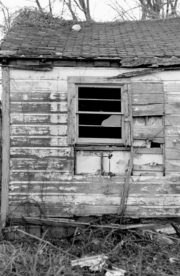 U7008I1328031651.SEQ.0.jpg