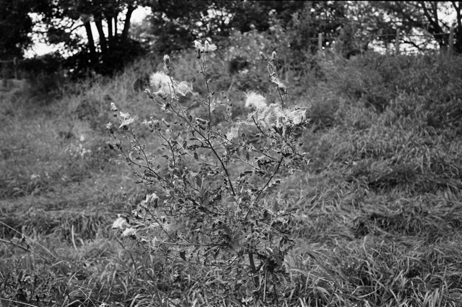 U776I1411325546.SEQ.1.jpg