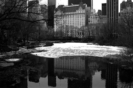 U8727I1266351631.SEQ.0.jpg