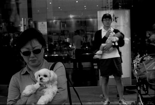 U8727I1286631707.SEQ.0.jpg