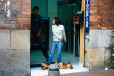 COL-Bogota-Scene-Girl-Dog.jpg