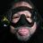 divewizard