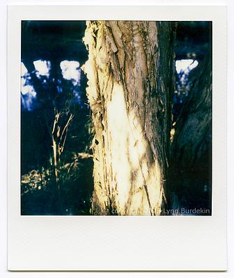 Uber Exif Photo