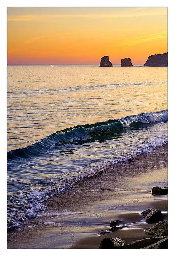 med_U28593.1696231855.0.webp