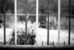 Uber Exif Photo