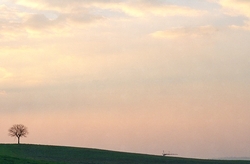 Uber Exif Photo